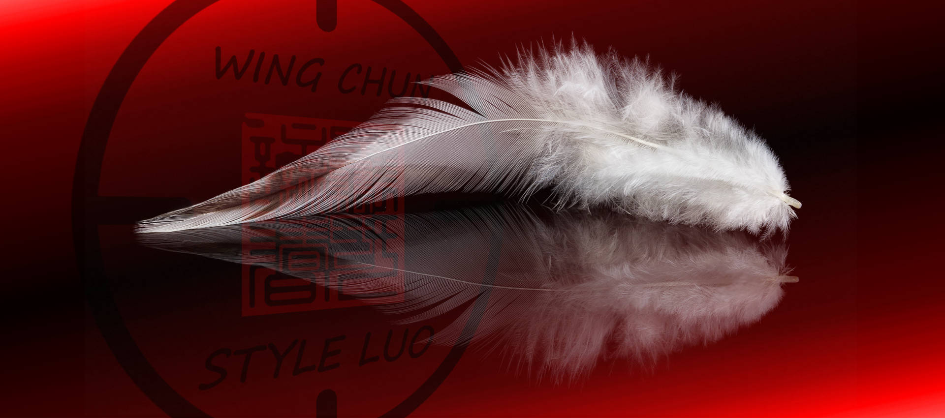 Wallpaper Wing Chun Luo - Feather